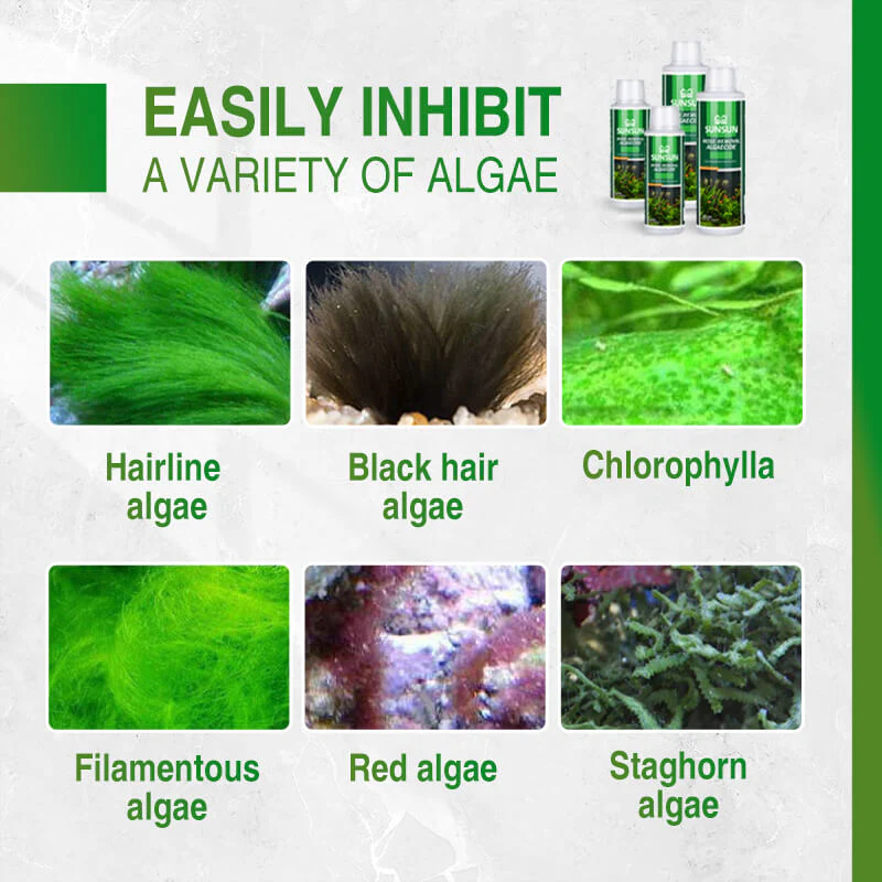 Moss Remover for Fish Tank - Image 4