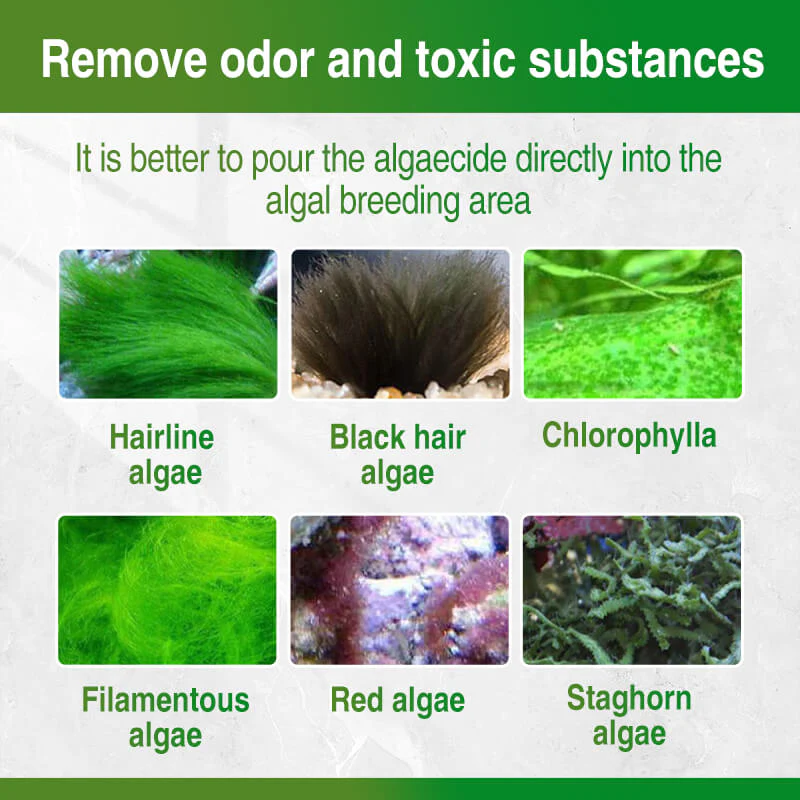 Moss Remover for Fish Tank - Image 6