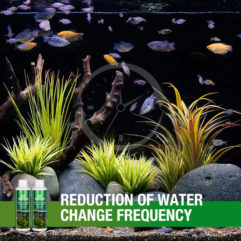 Moss Remover for Fish Tank - Image 9