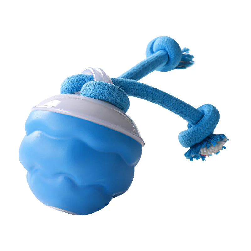 🎁Meet Christmas 50% OFF🎄Interactive Electronic Pet Soothing Toy Ball - Image 10