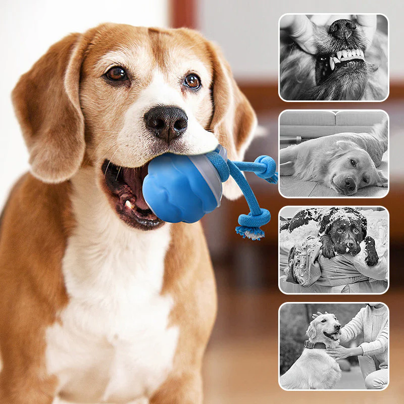 🎁Meet Christmas 50% OFF🎄Interactive Electronic Pet Soothing Toy Ball - Image 4