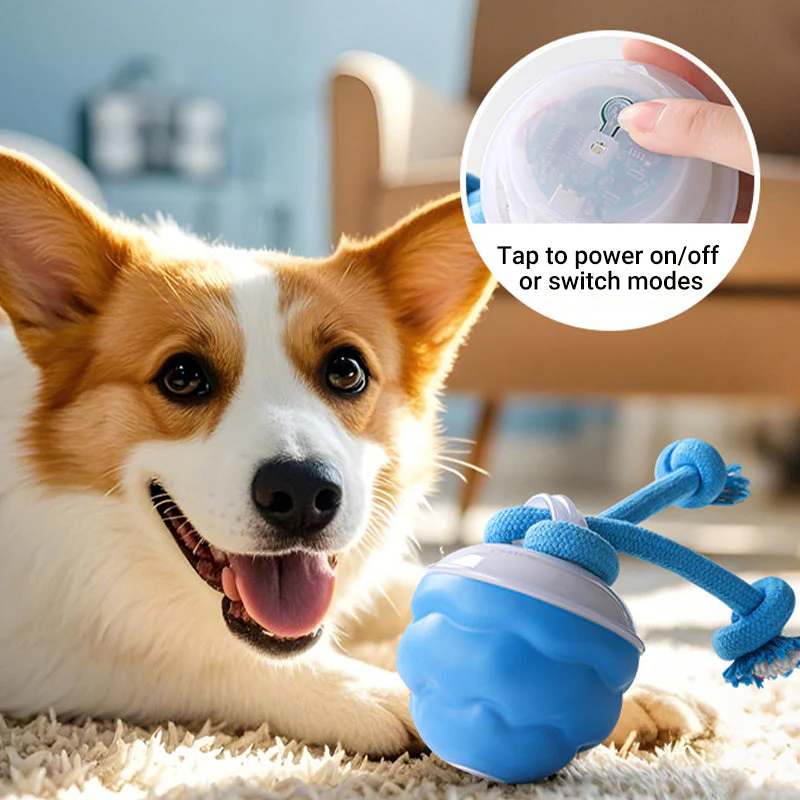 🎁Meet Christmas 50% OFF🎄Interactive Electronic Pet Soothing Toy Ball - Image 5
