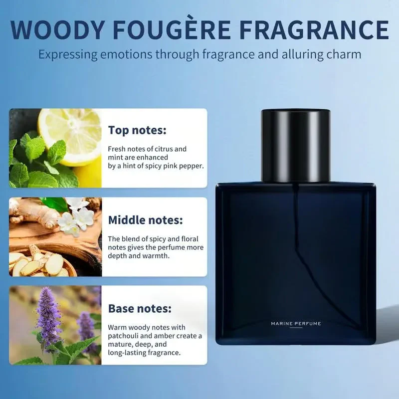 🔥40% OFF!🔥 Men’s Natural Long-Lasting Marine Perfume | 24H Natural Sea Minerals & Zero Alcohol Burn - Image 8